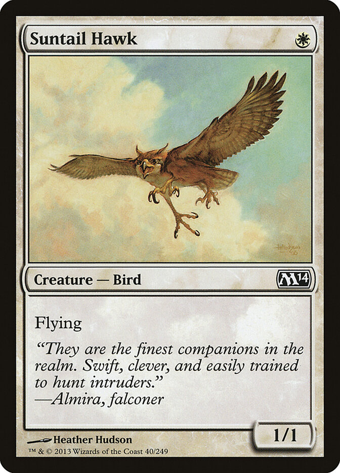 Suntail Hawk — Magic 2014 (M14) #40