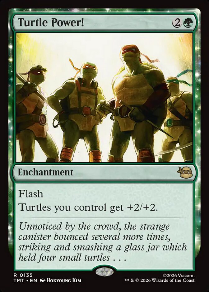 Turtle Power! — Teenage Mutant Ninja Turtles (TMT) #135