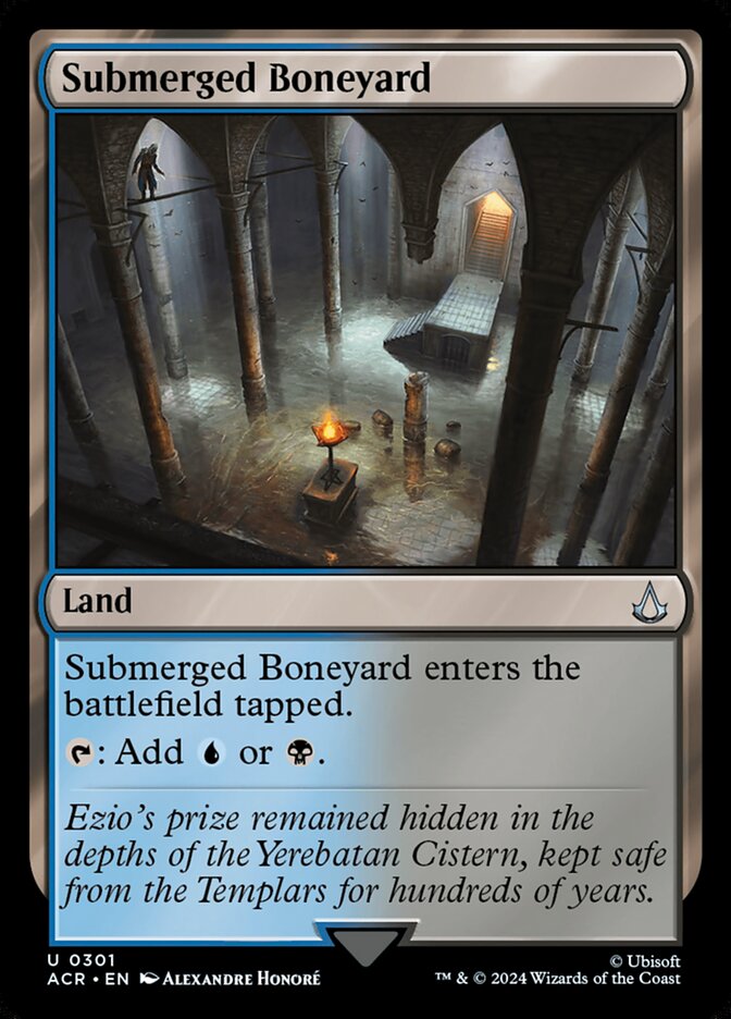 Submerged Boneyard — Assassin's Creed (ACR) #301