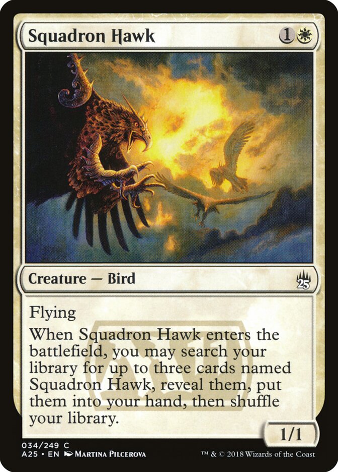 Squadron Hawk — Masters 25 (A25) #34