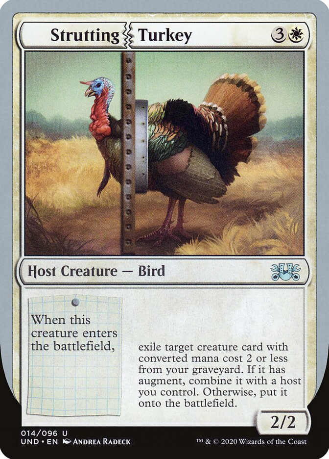 Strutting Turkey — Unsanctioned (UND) #14