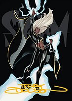 Marvel Super Heroes Art Series #30