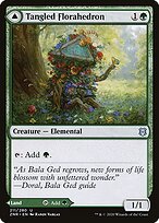 Zendikar Rising #211