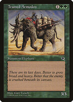 Tempest #260
