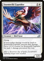 Stormwild Capridor
