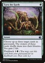 Innistrad: Midnight Hunt #205