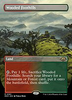 Modern Horizons 3 #361