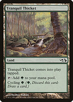 Duel Decks: Elves vs. Goblins #27