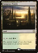Forgotten Realms Commander #264