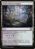 Strixhaven: School of Mages #275