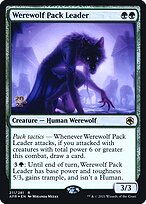 Adventures in the Forgotten Realms Promos #211s
