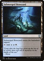 Zendikar Rising Commander #141