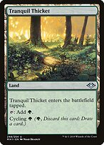 Modern Horizons #248