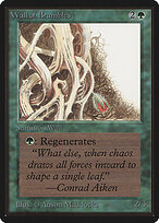 Limited Edition Beta #224