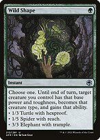 Adventures in the Forgotten Realms #212