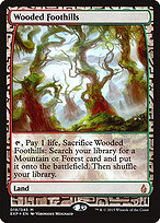 Zendikar Expeditions #19