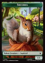Squirrel